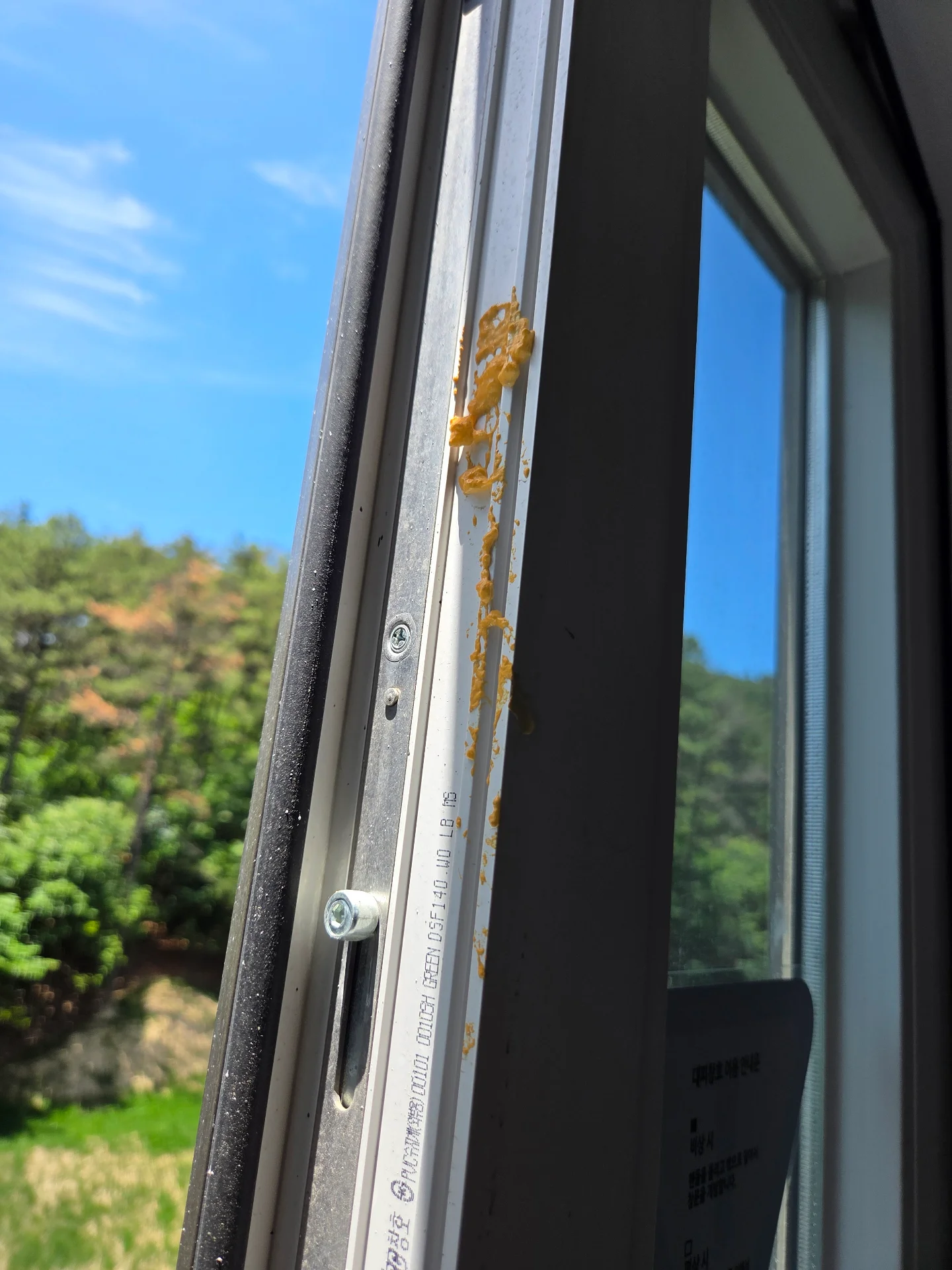 기타 사진 — 기타 27